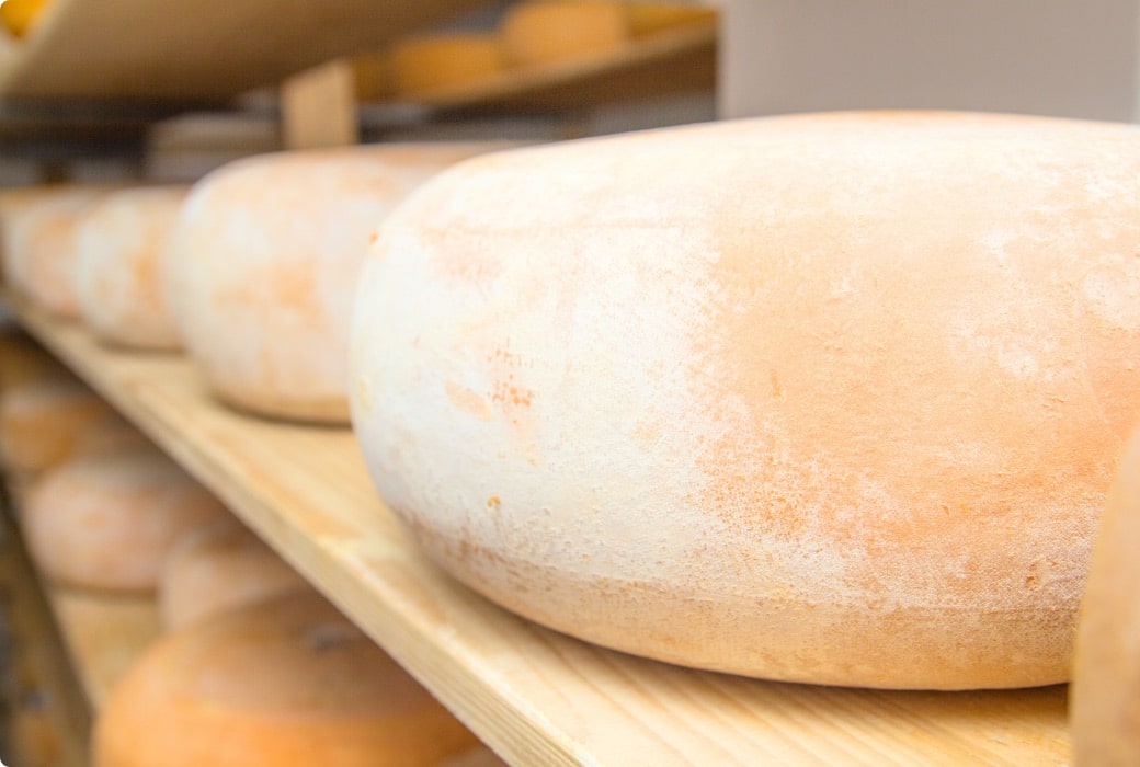 Meules de fromages dans une cave